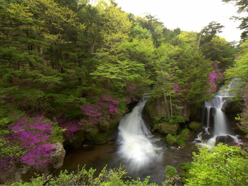 傳統日式旅館 Okunikko Konishi